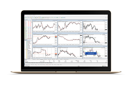 Forex traders wanted