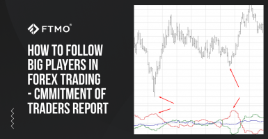 How to follow big players in Forex Trading- Commitment of Traders Report